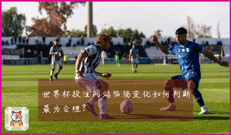 世界杯投注网站临场变化如何判断最为合理？