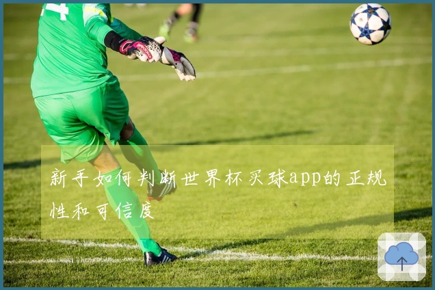新手如何判断世界杯买球app的正规性和可信度